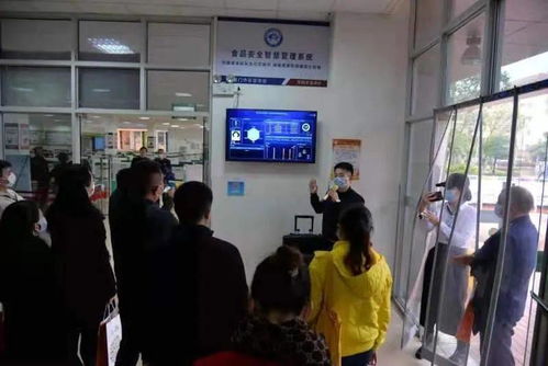 食品安全与家政服务 在线轻松搞定生活大小事